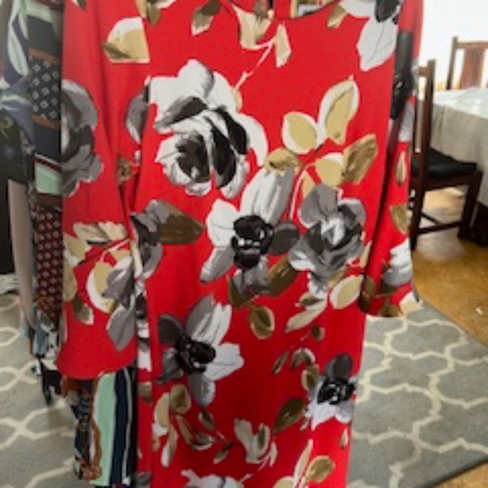 Shelby & Palmer multi dress